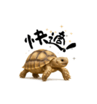 日常使いケヅメリクガメ（個別スタンプ：2）