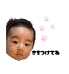 じょーくんすたんぷ日常編（個別スタンプ：8）