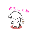 【推し活でよく使う】犬のモナちゃん（個別スタンプ：16）