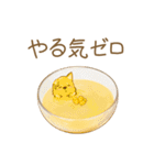 まめしばたぁ第2弾（個別スタンプ：10）