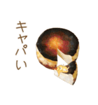 まめしばたぁ第2弾（個別スタンプ：24）