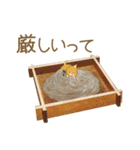 まめしばたぁ第2弾（個別スタンプ：31）