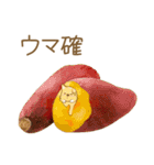 まめしばたぁ第2弾（個別スタンプ：40）