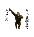 踊る！今これゴリラ（個別スタンプ：1）