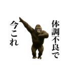 踊る！今これゴリラ（個別スタンプ：15）