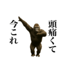 踊る！今これゴリラ（個別スタンプ：17）