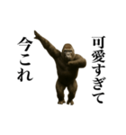 踊る！今これゴリラ（個別スタンプ：18）