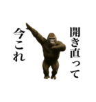 踊る！今これゴリラ（個別スタンプ：23）