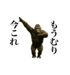踊る！今これゴリラ（個別スタンプ：24）