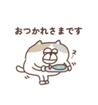 すんとしたねこ ニア（個別スタンプ：1）