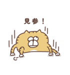 すんとしたねこ ニア（個別スタンプ：16）