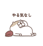 すんとしたねこ ニア（個別スタンプ：24）
