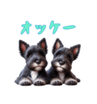 [オッケー専用]スコティッシュテリアベビー（個別スタンプ：1）