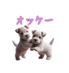 [オッケー専用]スコティッシュテリアベビー（個別スタンプ：2）
