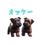 [オッケー専用]スコティッシュテリアベビー（個別スタンプ：5）