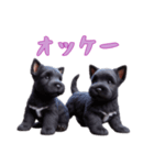 [オッケー専用]スコティッシュテリアベビー（個別スタンプ：6）
