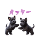 [オッケー専用]スコティッシュテリアベビー（個別スタンプ：12）
