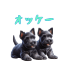 [オッケー専用]スコティッシュテリアベビー（個別スタンプ：13）