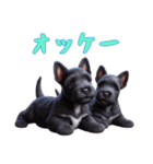[オッケー専用]スコティッシュテリアベビー（個別スタンプ：15）