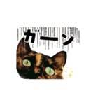 (=^・^=)Stamp家族連絡用（個別スタンプ：9）