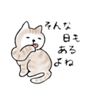 毎日使えるシンプルなねこのスタンプ2（個別スタンプ：2）