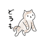 毎日使えるシンプルなねこのスタンプ2（個別スタンプ：4）