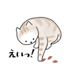 毎日使えるシンプルなねこのスタンプ2（個別スタンプ：11）