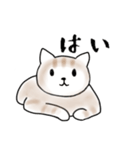 毎日使えるシンプルなねこのスタンプ2（個別スタンプ：13）
