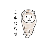 毎日使えるシンプルなねこのスタンプ2（個別スタンプ：17）