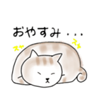 毎日使えるシンプルなねこのスタンプ2（個別スタンプ：19）