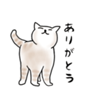 毎日使えるシンプルなねこのスタンプ2（個別スタンプ：22）