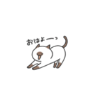 ミニシャム猫（個別スタンプ：25）