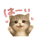 ねこちぃず♡ふんわり3D♡毎日使える（個別スタンプ：3）