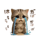 ねこちぃず♡ふんわり3D♡毎日使える（個別スタンプ：21）