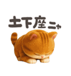 ねこちぃず♡ふんわり3D♡毎日使える（個別スタンプ：22）