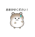 nobobi 真面目そうな くまくん（個別スタンプ：6）