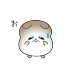 nobobi 真面目そうな くまくん（個別スタンプ：11）