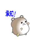 nobobi 真面目そうな くまくん（個別スタンプ：13）