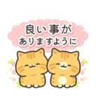 茶トラ猫の飛び出すスタンプ(やや秋)（個別スタンプ：14）