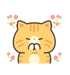 茶トラ猫の飛び出すスタンプ(やや秋)（個別スタンプ：21）