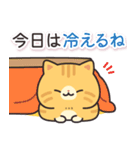 茶トラ猫の飛び出すスタンプ(やや秋)（個別スタンプ：23）