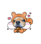 わんこの日常dog's daily life（個別スタンプ：8）