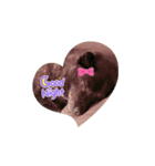 どうも。甲斐犬です♡（個別スタンプ：1）