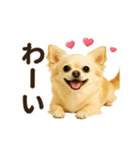 ずっと使える♡秋のチワワ♡（個別スタンプ：8）