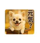 ずっと使える♡秋のチワワ♡（個別スタンプ：10）