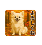 ずっと使える♡秋のチワワ♡（個別スタンプ：17）