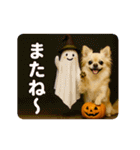 ずっと使える♡秋のチワワ♡（個別スタンプ：21）