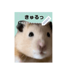 フレンズ 証明写真スタンプ メッセージ（個別スタンプ：2）