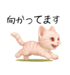推し猫【桃】,,,,,,,,,,,,,,,,,,,（個別スタンプ：1）