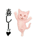 推し猫【桃】,,,,,,,,,,,,,,,,,,,（個別スタンプ：6）